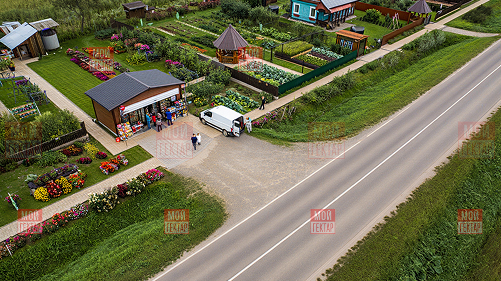 Фото описания проекта