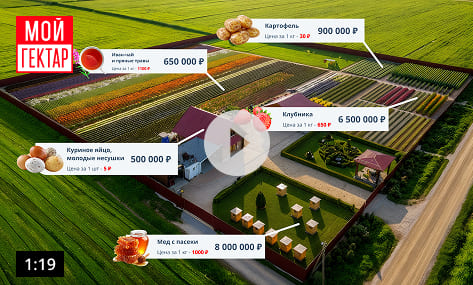 Превью видео