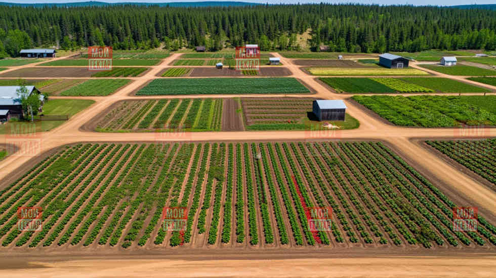 Фото описания проекта