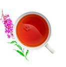 Иван-чай <br> и пряные травы