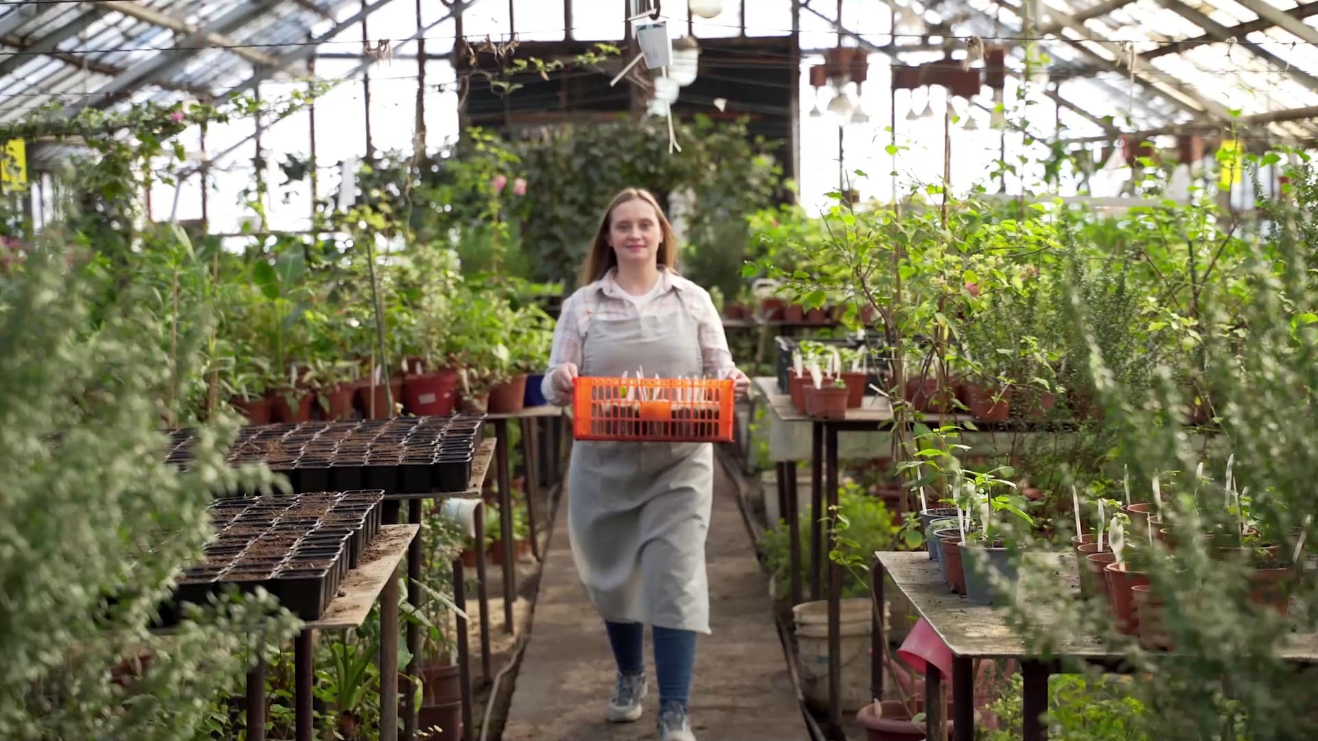 Фото описания проекта