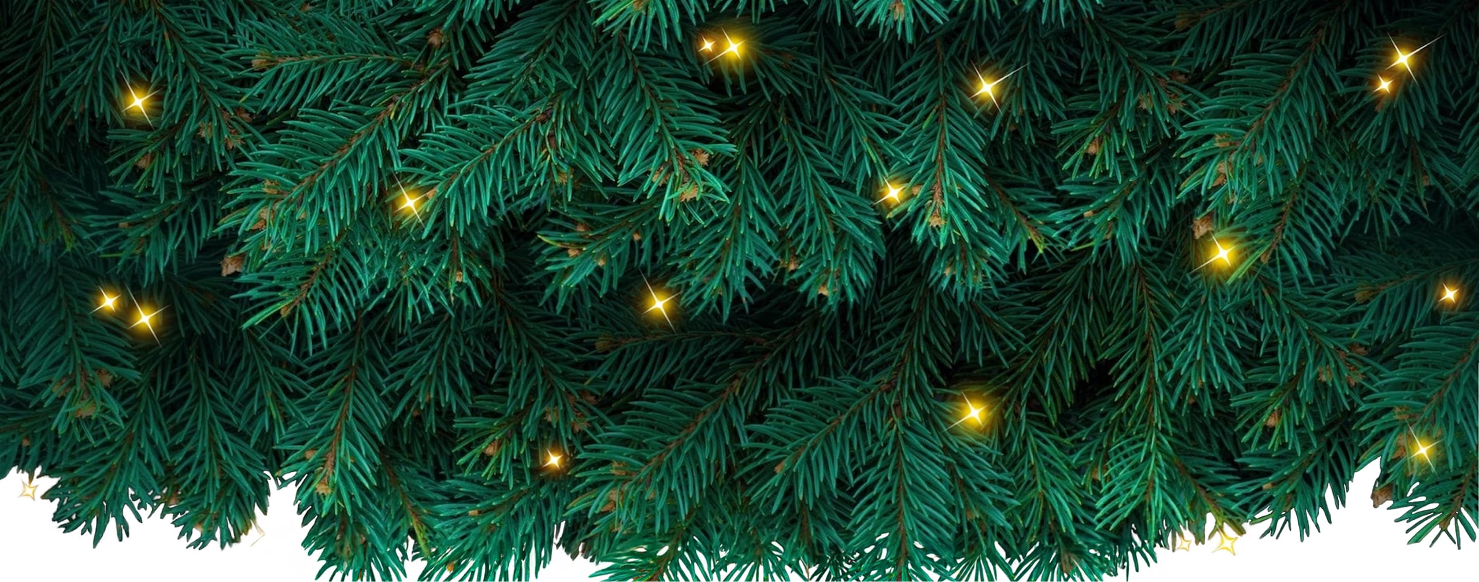 Еловые ветки